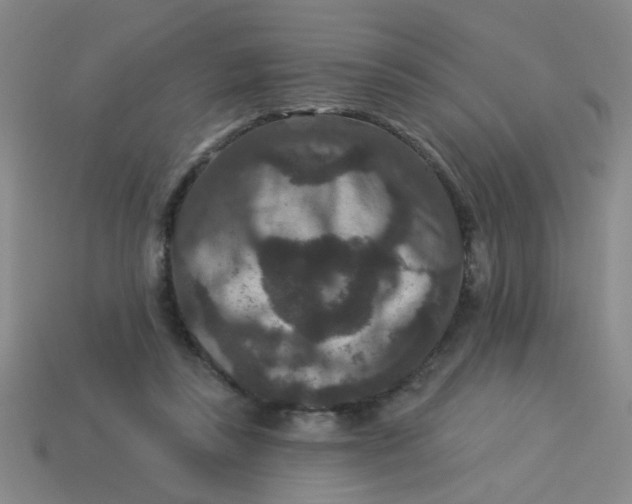 X0000113880355200910151318