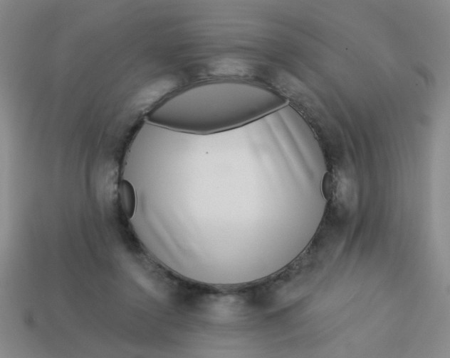 X0000113880356200910151318