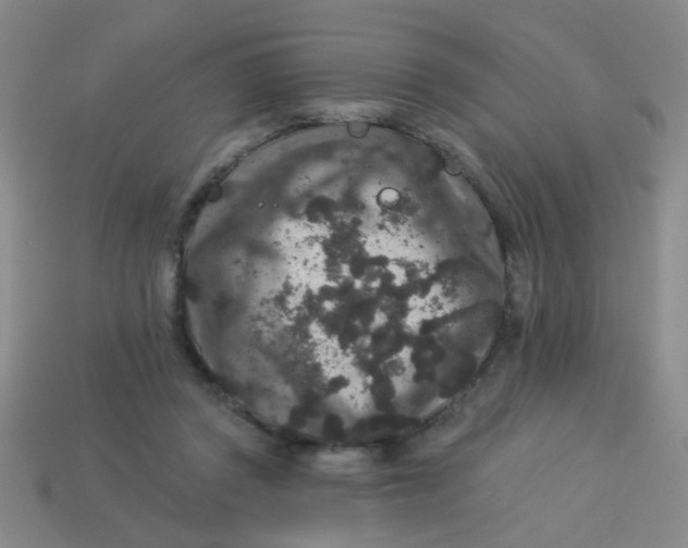 X0000113880357200910151318