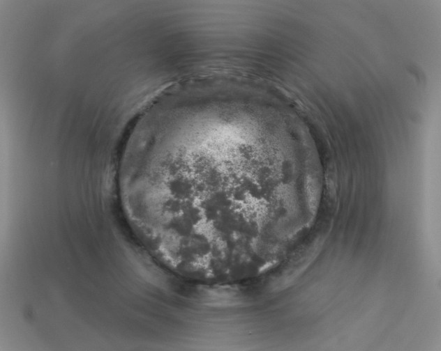 X0000113880359200910151318