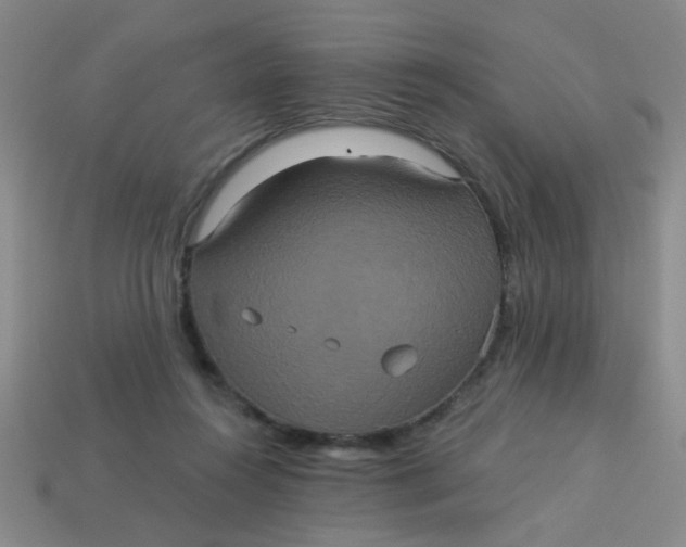 X0000113880360200910151318