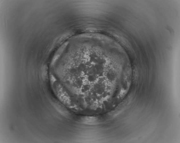 X0000113880361200910151318