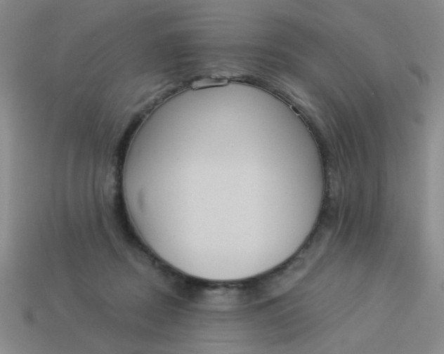 X0000113880362200910151318