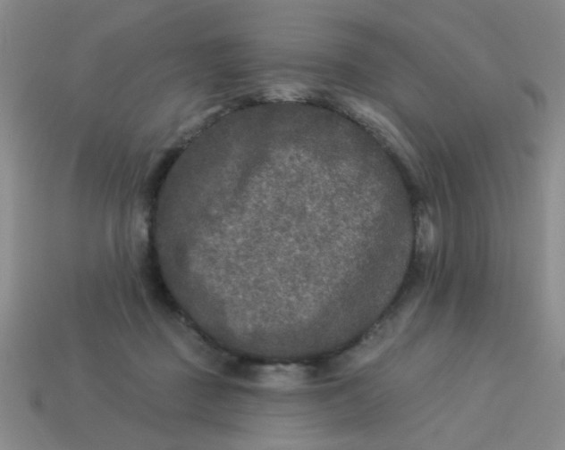 X0000113880363200910151318