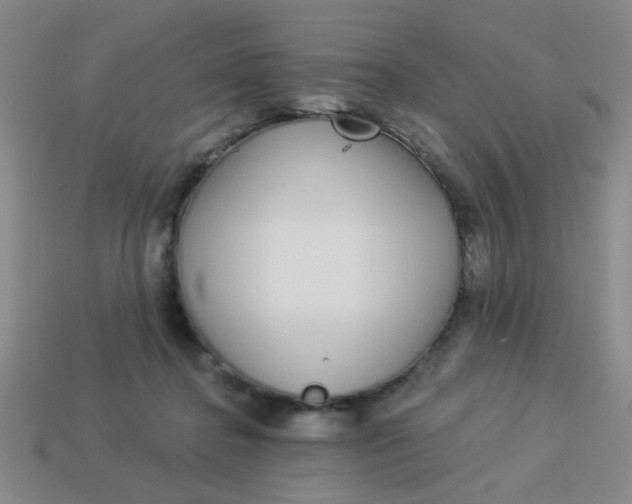 X0000113880364200910151318