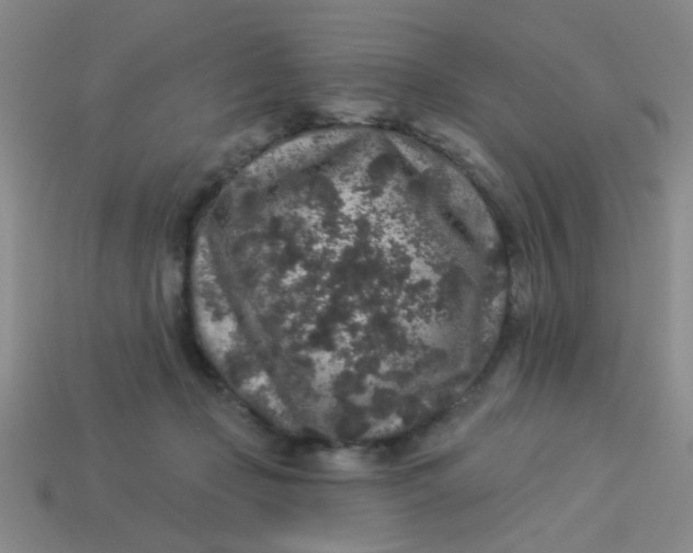 X0000113880365200910151318