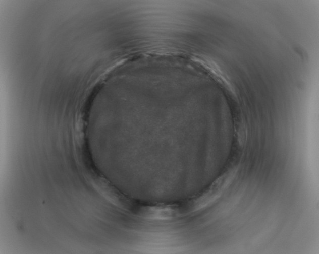 X0000113880366200910151318