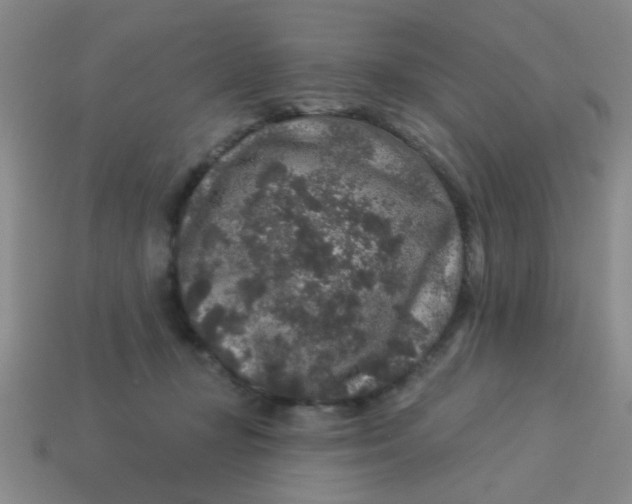 X0000113880367200910151318