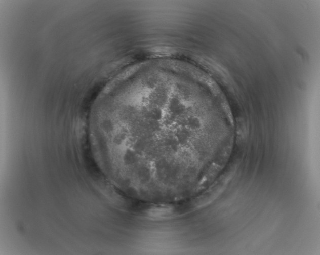 X0000113880369200910151318