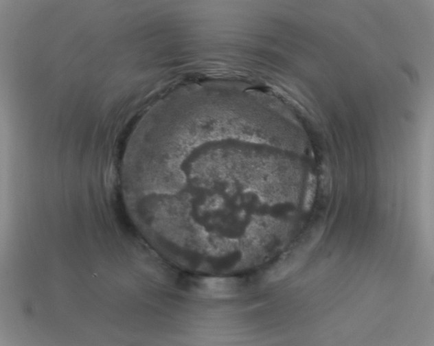 X0000113880371200910151318