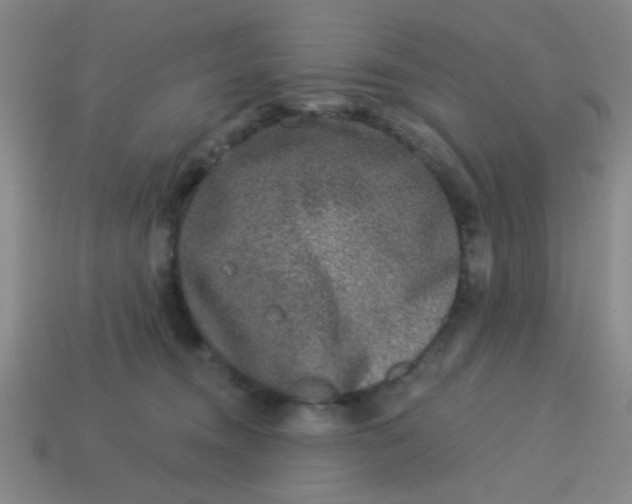 X0000113880372200910151318