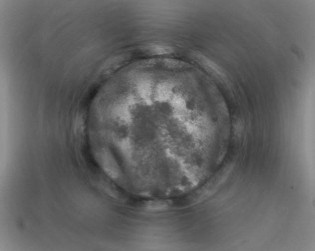 X0000113880373200910151318