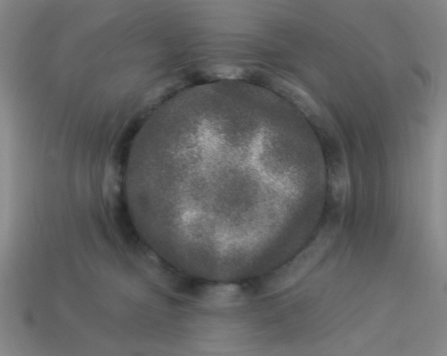 X0000113880374200910151318