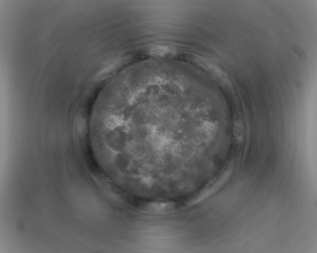 X0000113880375200910151318