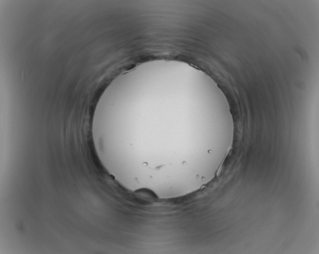 X0000113880376200910151318