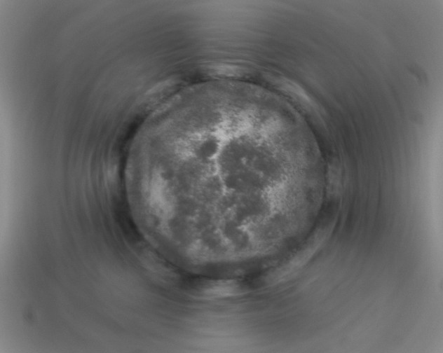 X0000113880377200910151318