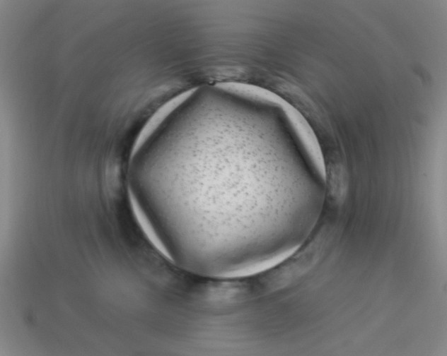 X0000113880378200910151318