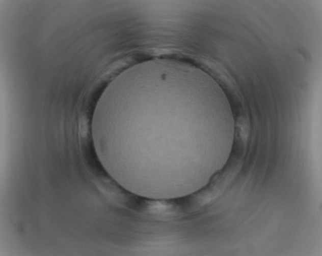 X0000113880380200910151318