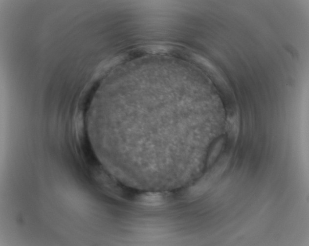 X0000113880381200910151318