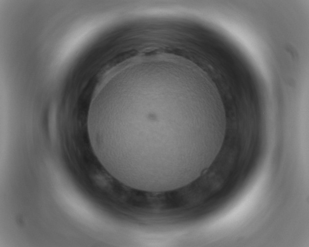 X0000113880382200910151318