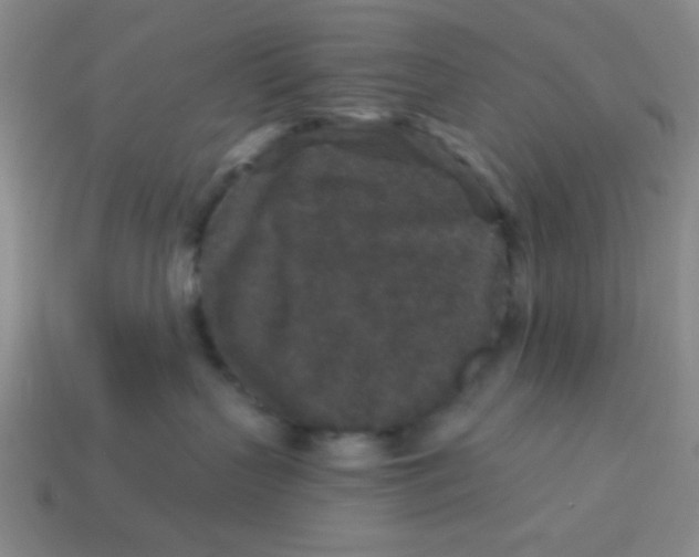 X0000113880383200910151318