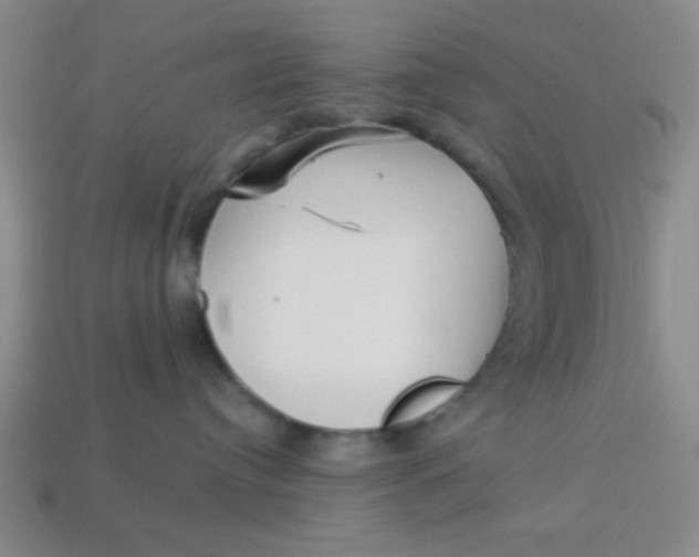 X0000113880384200910151318