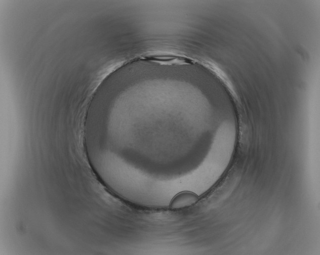 X0000113880385200910151318