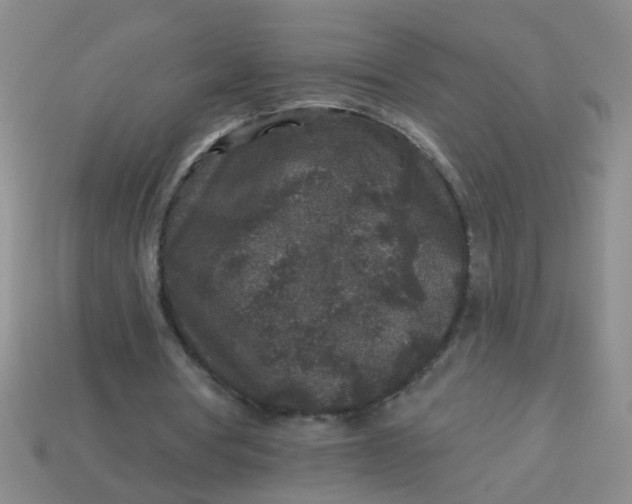 X0000113880386200910151318