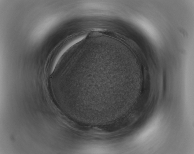 X0000113880387200910151318