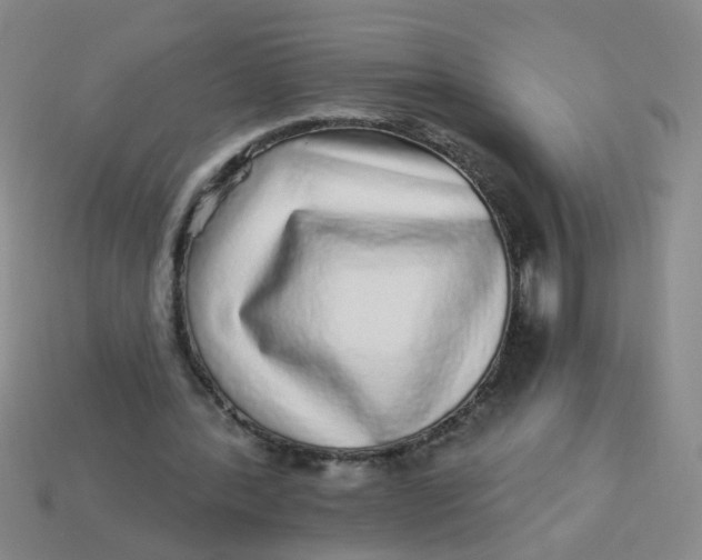 X0000113880388200910151318