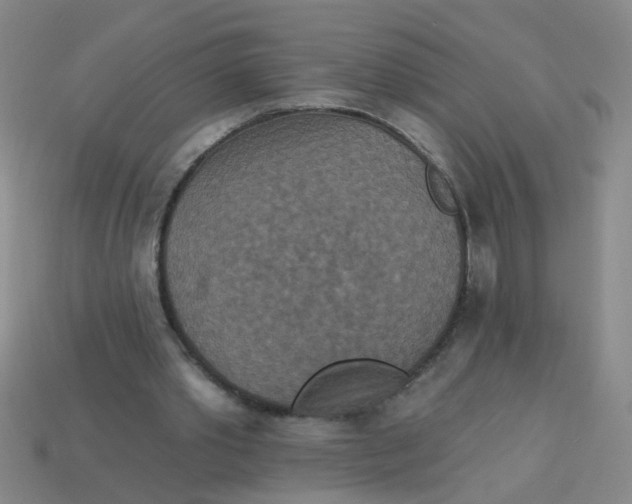 X0000113880389200910151318