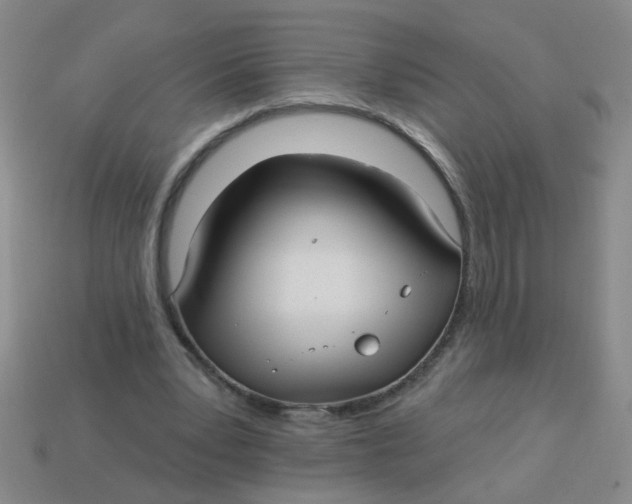 X0000113880391200910151318