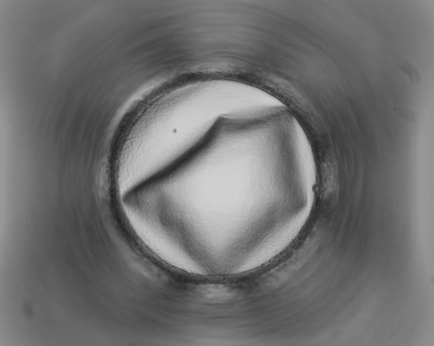 X0000113880392200910151318