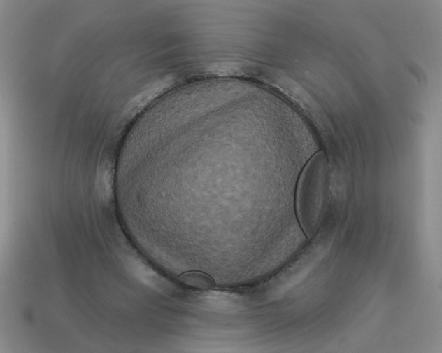 X0000113880393200910151318