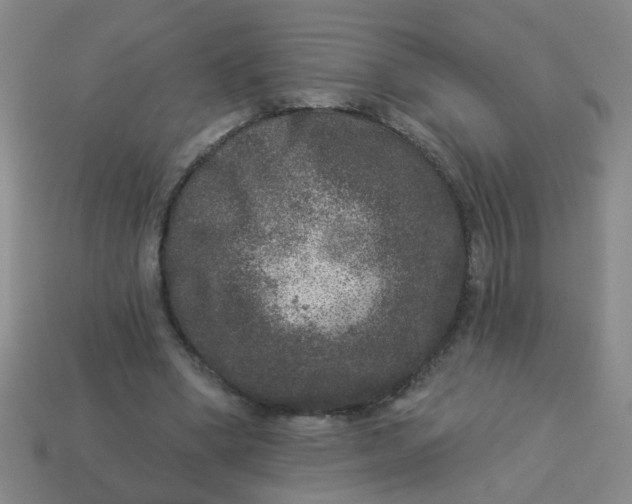 X0000113880394200910151318