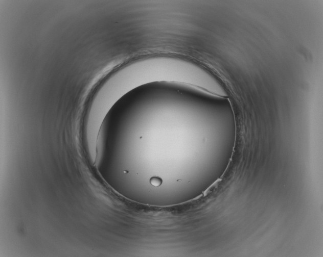 X0000113880395200910151318