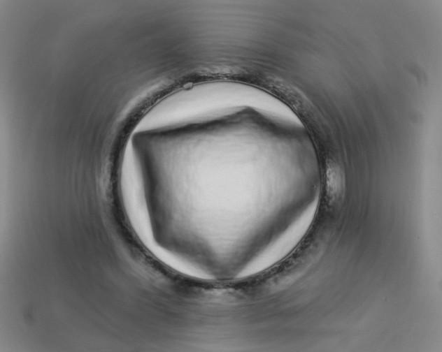 X0000113880396200910151318