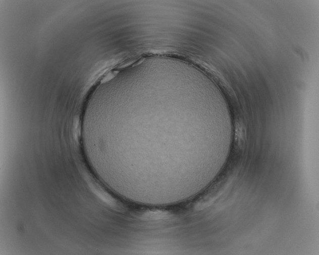 X0000113880397200910151318