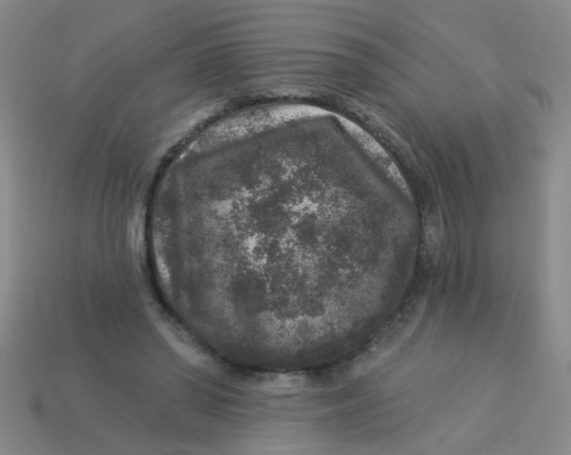 X0000113880398200910151318