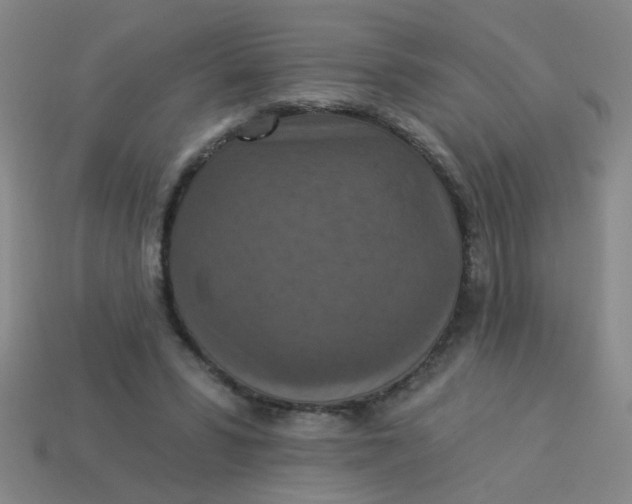 X0000113880399200910151318