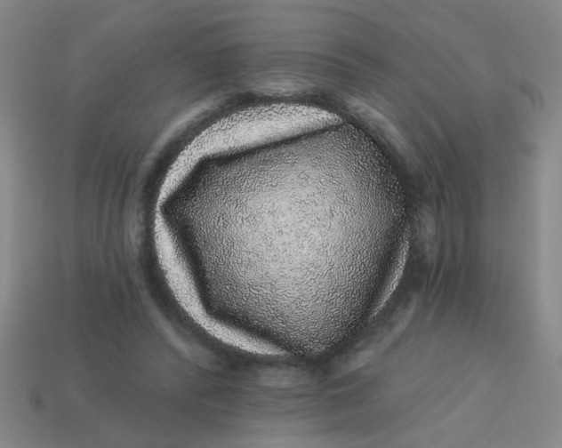 X0000113880400200910151317