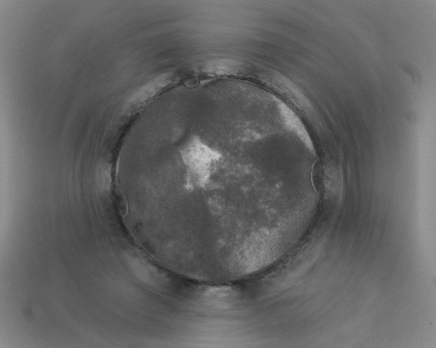 X0000113880401200910151317