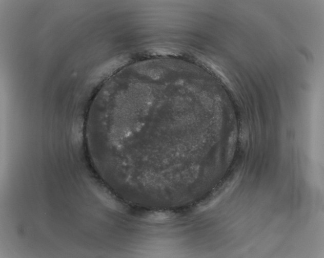 X0000113880402200910151317