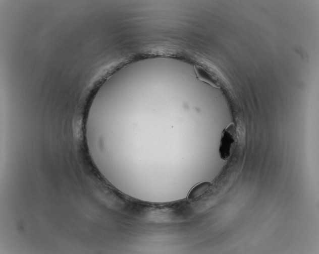 X0000113880403200910151317