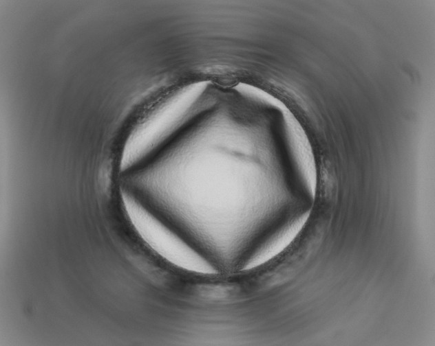 X0000113880404200910151317