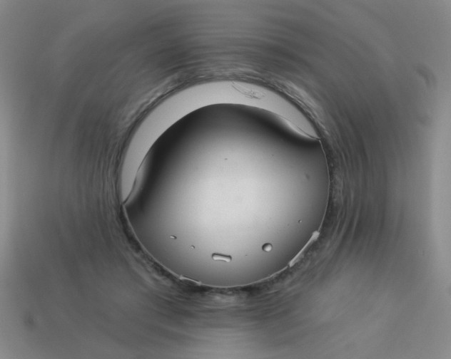 X0000113880405200910151317