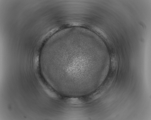 X0000113880406200910151317