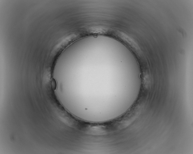 X0000113880407200910151317