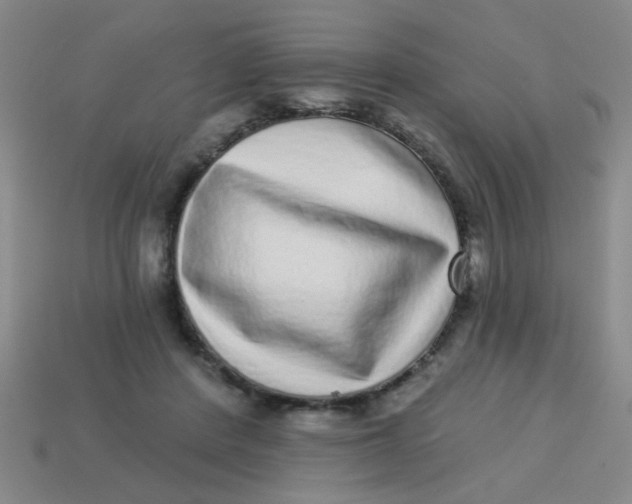 X0000113880408200910151317