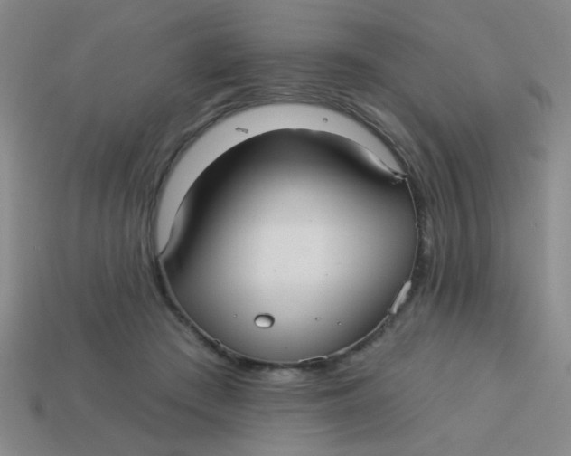 X0000113880409200910151317